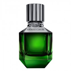 عطر روبرتو كفالي بارادايس فاوند فور رجالي 75مل عطر روبرتو كفالي بارادايس فاوند فور رجالي 75مل