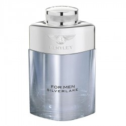 عطر بنتلي سلفرليك رجالي 100مل عطر بنتلي سلفرليك رجالي 100مل