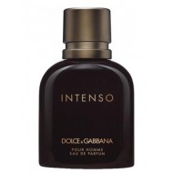 عطر دولتشي اند غابانا انتيسو رجالي
