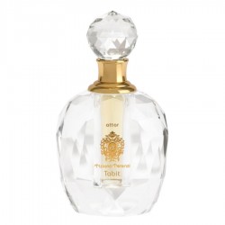 عطر تيزيانا تيرينزي تابت عطار 13مل عطر تيزيانا تيرينزي تابت عطار 13مل