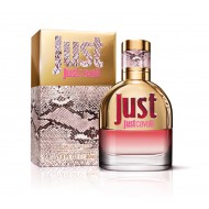 عطر روبرتو كفالي جست نسائي