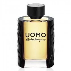 عطر سلفاتور فيرغامو اومو رجالي 100مل