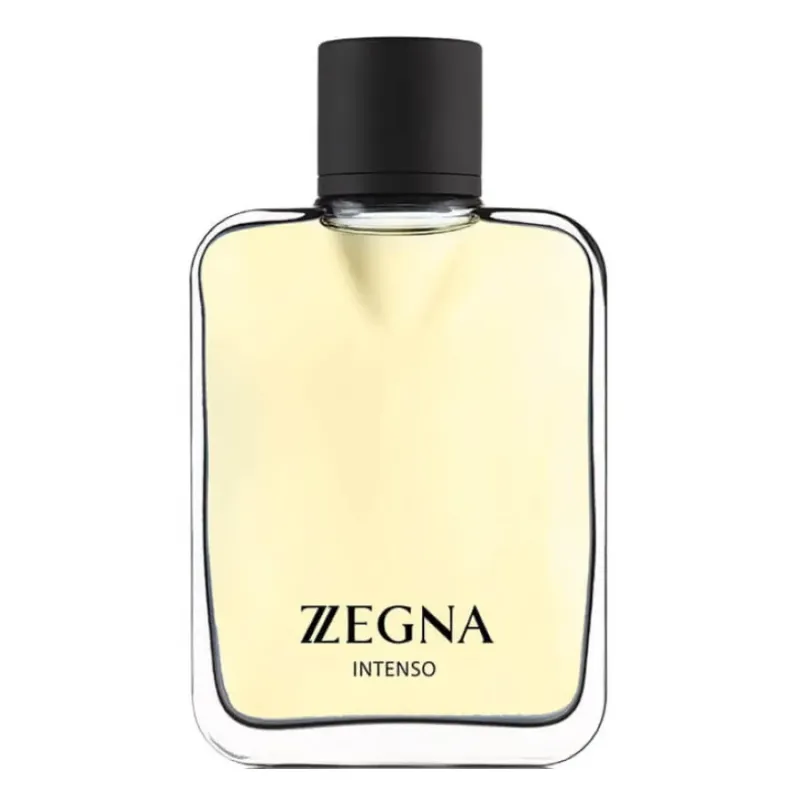 عطر ارمنيجيلدو زينيا انتنس رجالي 100مل