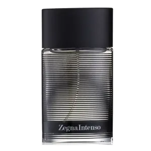 عطر ارمنيجيلدو زينيا انتينسو رجالي 50مل