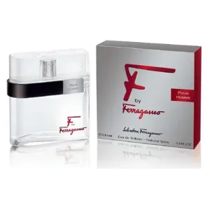 عطر سلفاتور فيرغامو اف بور اوم رجالي 100مل