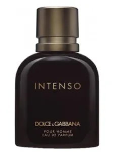 عطر دولتشي اند غابانا انتيسو رجالي